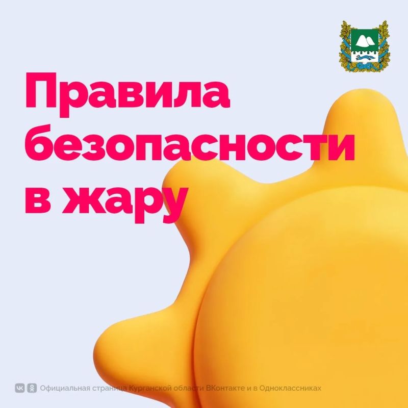 По информации Главного управления МЧС России по Курганской области, с 25 по 30 июля в отдельных районах региона установится аномально жаркая погода с температурой воздуха 36–37 градусов