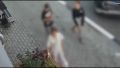 В Кургане нашли подростков, сорвавших цветы с клумб: ими оказались три школьницы