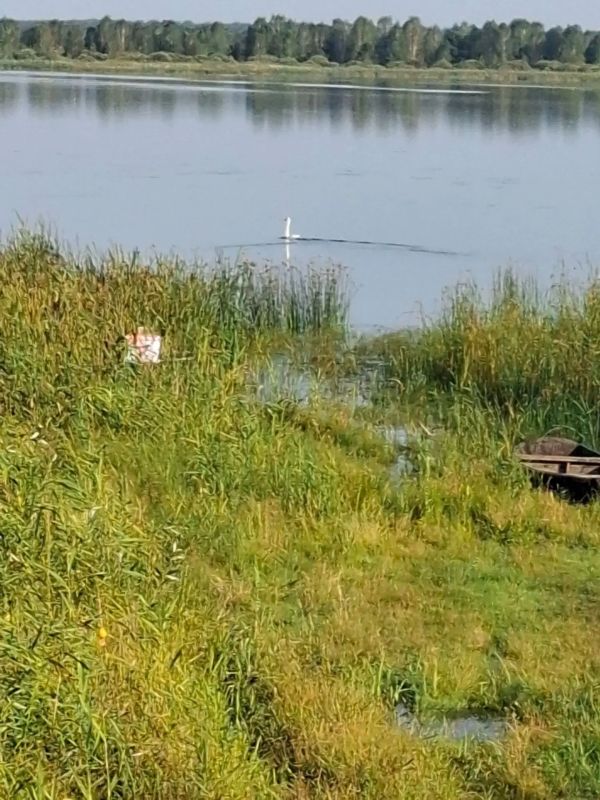 В Шатровском муниципальном округе на озере Тукмыш состоялся совместный рейд, направленный на пресечение нарушений правил рыболовства и охоты В Шатровском муниципальном округе на озере Тукмыш состоялся совместный рейд, направленный на пресечение нарушений правил рыболовства и охоты
