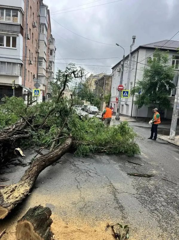 За медпомощью обратился 51 человек после шторма на Дону За медпомощью обратился 51 человек после шторма на Дону