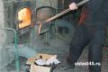 В Курганской области ликвидировали очаги дикорастущей конопли