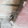 �������� ������ ����� ������������� ���� � �������� ��� ����������