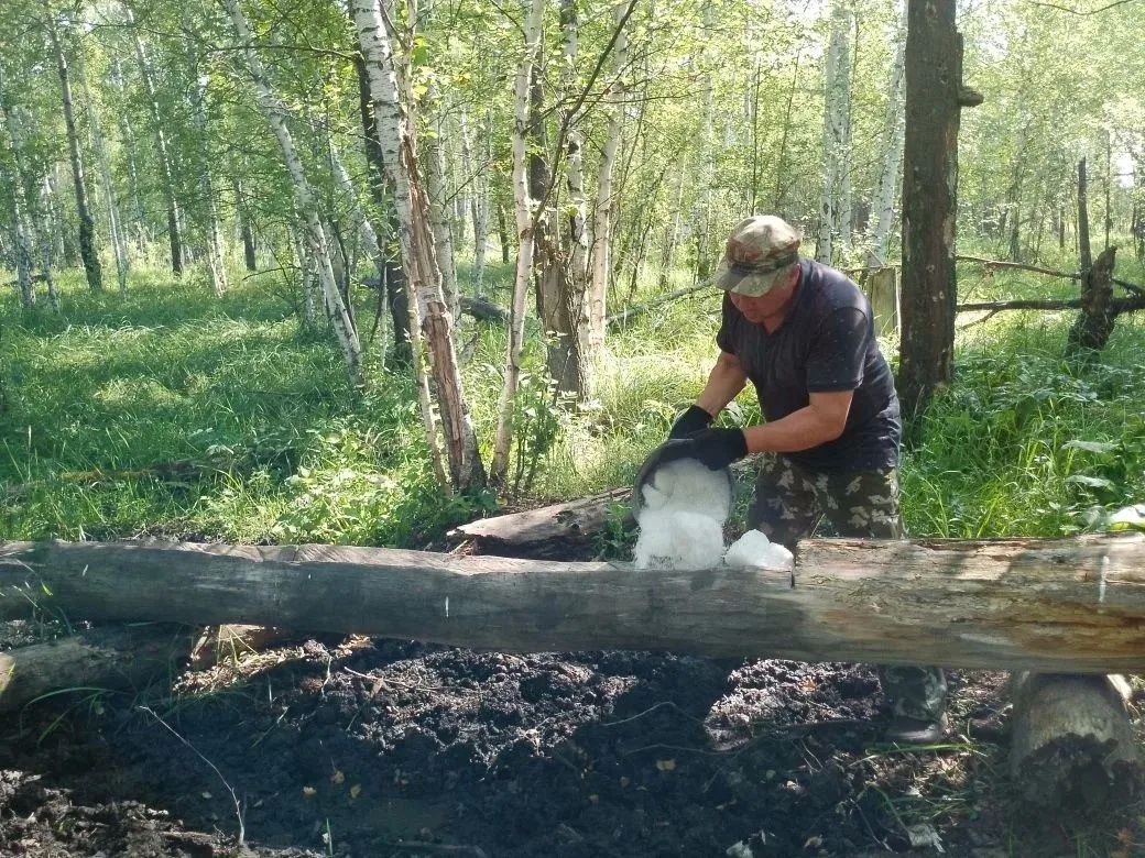 Забота о животных — это не просто слова, а ежедневный труд Забота о животных — это не просто слова, а ежедневный труд