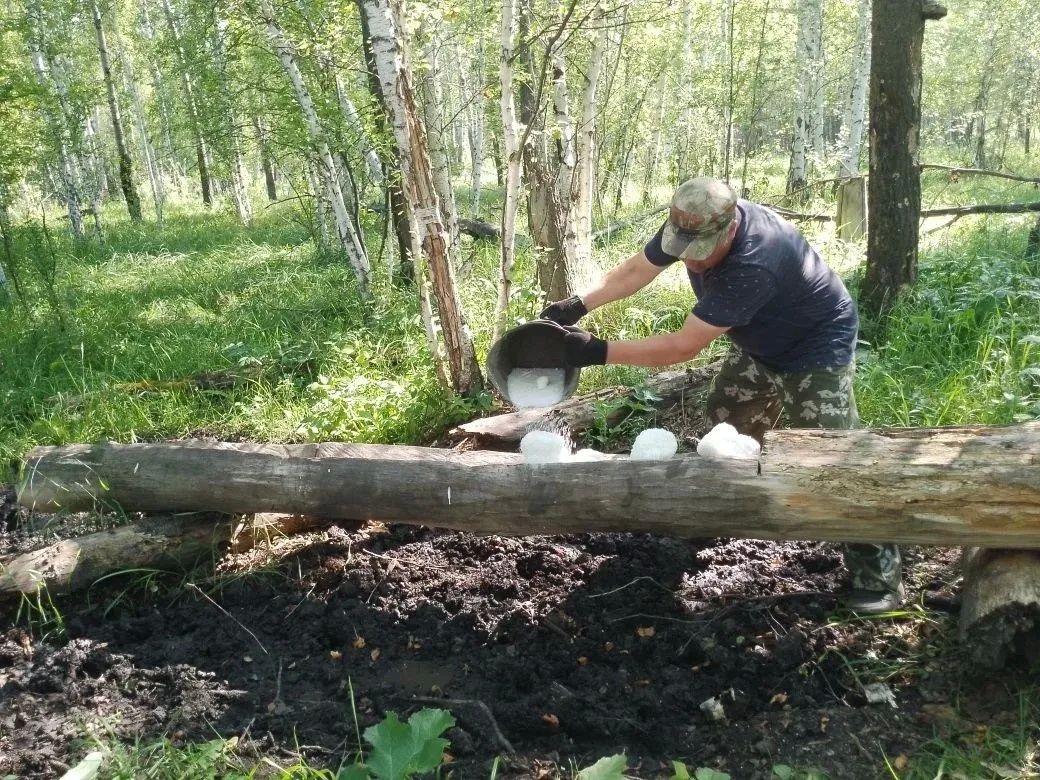 Забота о животных — это не просто слова, а ежедневный труд Забота о животных — это не просто слова, а ежедневный труд