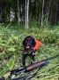 Охота с легавой — это не просто добыча дичи, это искусство, эстетика и, пожалуй, самый красивый вид охоты с собакой