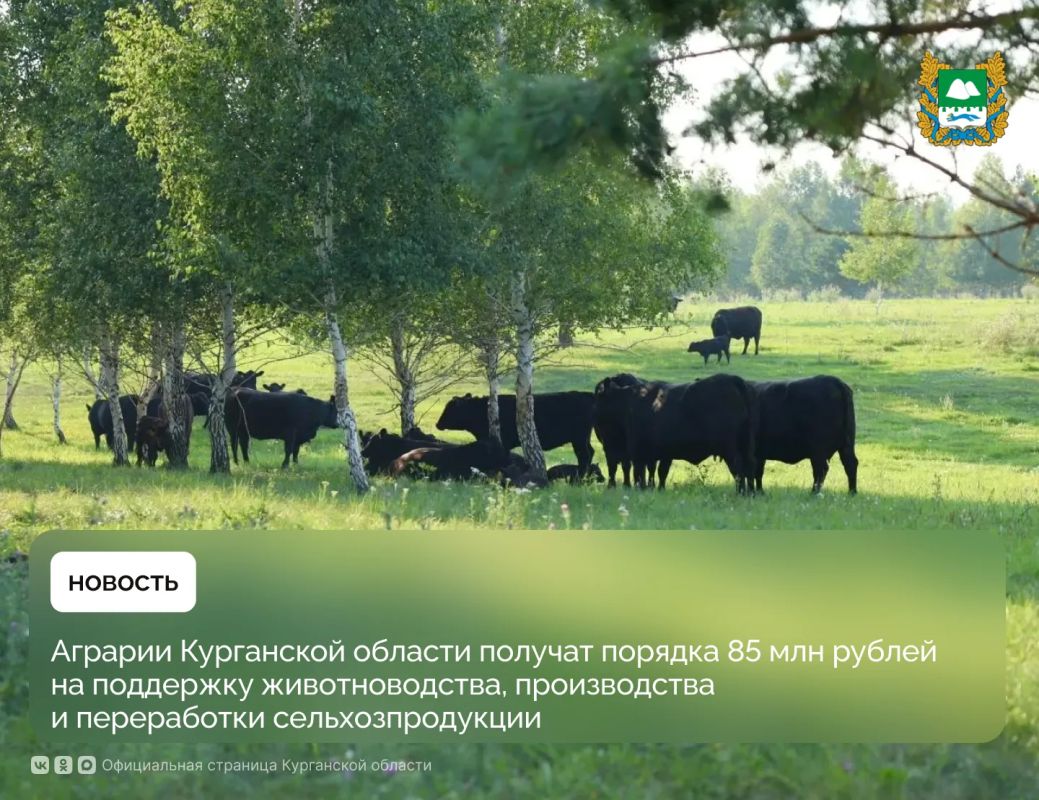 По инициативе губернатора Курганской области Вадима Шумкова в регионе расширен пакет мер государственной поддержки агропромышленного комплекса: на техническое перевооружение сельскохозяйственного производства из...