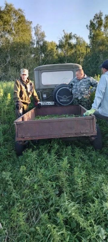 Своими руками для зауральского леса: в Казаркинском ОДОУ кипит биотехния! Своими руками для зауральского леса: в Казаркинском ОДОУ кипит биотехния!