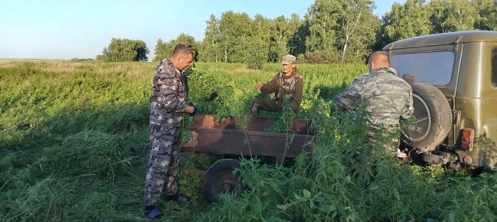 Своими руками для зауральского леса: в Казаркинском ОДОУ кипит биотехния! Своими руками для зауральского леса: в Казаркинском ОДОУ кипит биотехния!