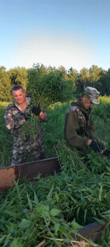 Своими руками для зауральского леса: в Казаркинском ОДОУ кипит биотехния! Своими руками для зауральского леса: в Казаркинском ОДОУ кипит биотехния!