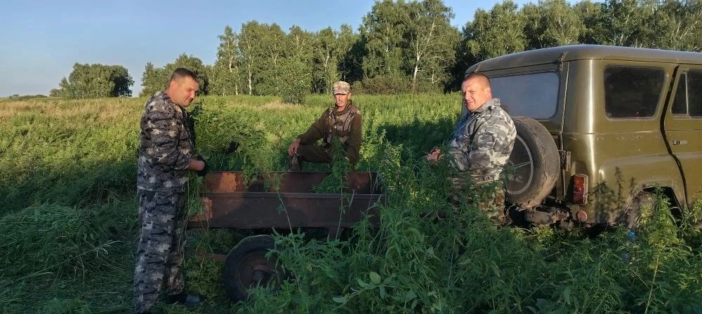 Своими руками для зауральского леса: в Казаркинском ОДОУ кипит биотехния! Своими руками для зауральского леса: в Казаркинском ОДОУ кипит биотехния!