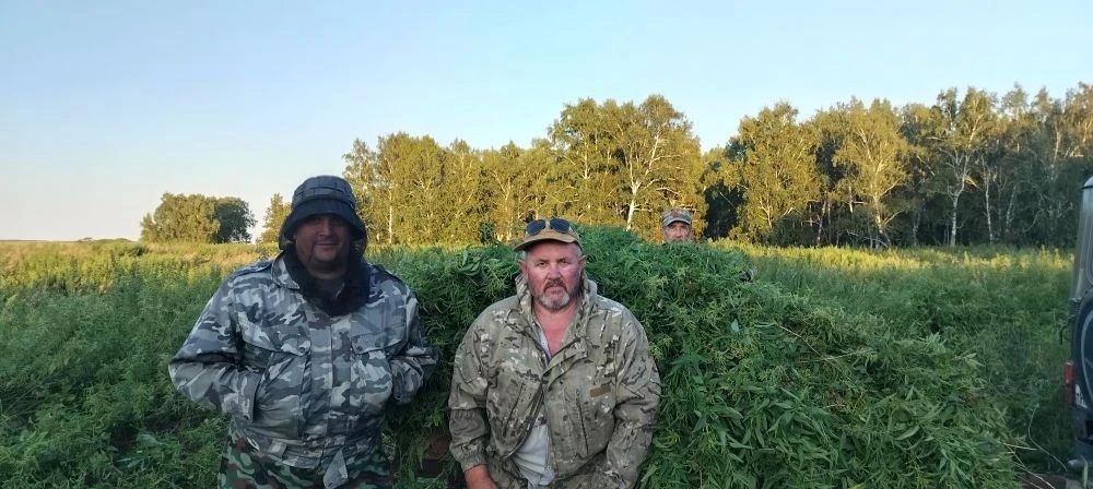 Своими руками для зауральского леса: в Казаркинском ОДОУ кипит биотехния! Своими руками для зауральского леса: в Казаркинском ОДОУ кипит биотехния!
