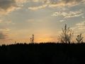 Вадим Шумков: #КраскиЭтогоЛета
