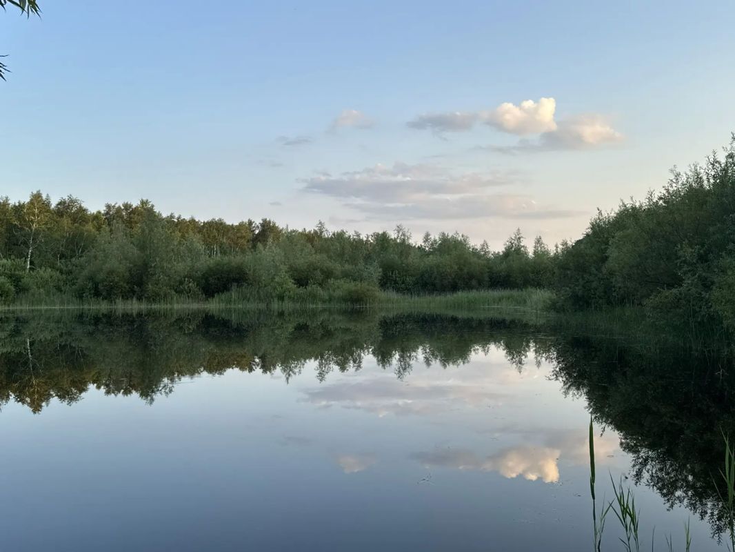 Вадим Шумков: #КраскиРоссии Вадим Шумков: #КраскиРоссии