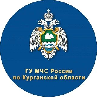 За минувшие сутки в Зауралье ликвидировано 5 пожаров