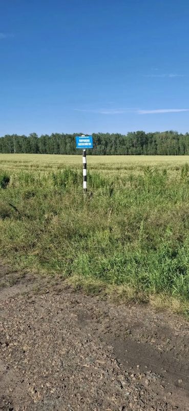 В Коврижском охотхозяйстве провели работы по установке предупреждающих знаков и информационных аншлагов на границах охотничьего угодья вблизи автодороги Шадринск-Миасское В Коврижском охотхозяйстве провели работы по установке предупреждающих знаков и информационных аншлагов на границах охотничьего угодья вблизи автодороги Шадринск-Миасское