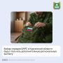 Департамент общественной безпасности Курганской области информирует