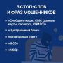 81-летняя пенсионерка из Кургана перевела мошенникам более миллиона рублей
