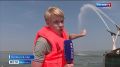 Из-за аномальной жары в июле на промышленных водоёмах страдают сиговые виды рыб