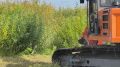 � ������� � ������ ���������������� ��������������� ����������� ���������� ����� �������������� � �������� ���������������� �����