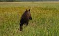 ������� � ��������� �������: ������ ����� ���� � �����