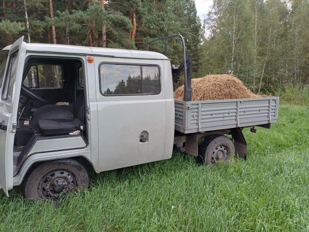 В Глядянском охотничьем угодье Притобольного муниципального округа в теплый солнечный день развозили сено В Глядянском охотничьем угодье Притобольного муниципального округа в теплый солнечный день развозили сено