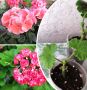 ������ � ���� ��� ������������ ����������: ������ �� ��������� ����������