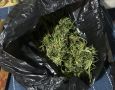 В Шумихе полицейскими пресечена деятельность молодого человека за незаконный оборот накотических средств в крупном размере