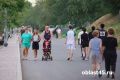В Кургане началась осенняя обработка парков от клещей
