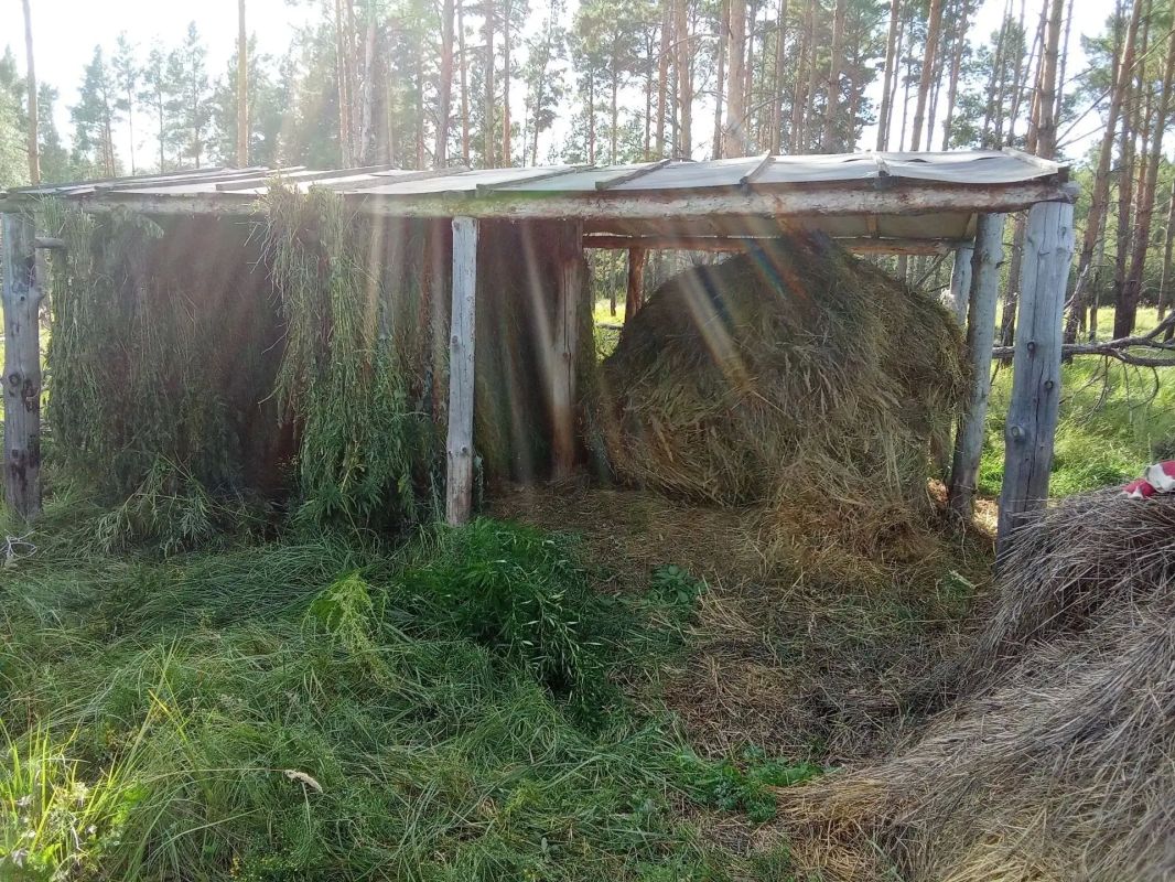 В Яровинском охотничьем угодье Половинского муниципального округа можно полюбоваться результатом обустройства ресторана «У лесной опушки» (Подкормка) В Яровинском охотничьем угодье Половинского муниципального округа можно полюбоваться результатом обустройства ресторана «У лесной опушки» (Подкормка)