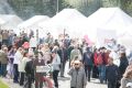 Тысячи курганцев и гостей города собрались сегодня на седьмом гастрономическом фестивале «День сырка», который проходит в Центральном парке культуры и отдыха