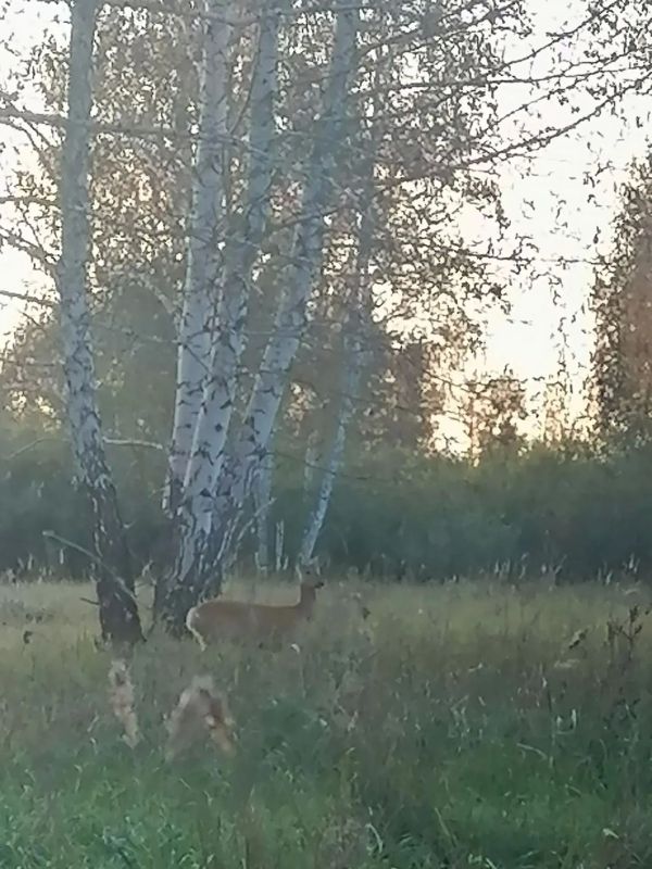 Красота природы Зауралья! Красота природы Зауралья!