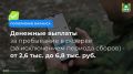 Глава Мишкинского округа Денис Мамонтов рассказал, почему принял решение вступить в отряд БАРС, который формируется на территории региона