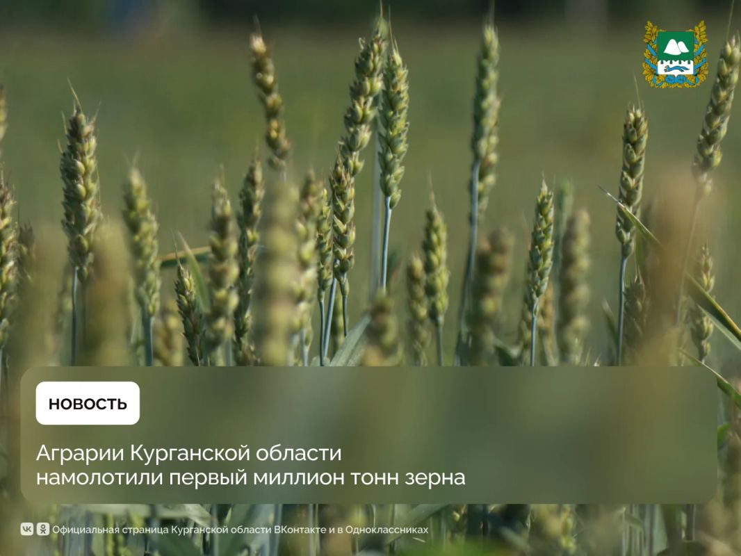 Курганская область достигла важного рубежа в ходе уборочной кампании — аграрии намолотили первый миллион тонн зерна