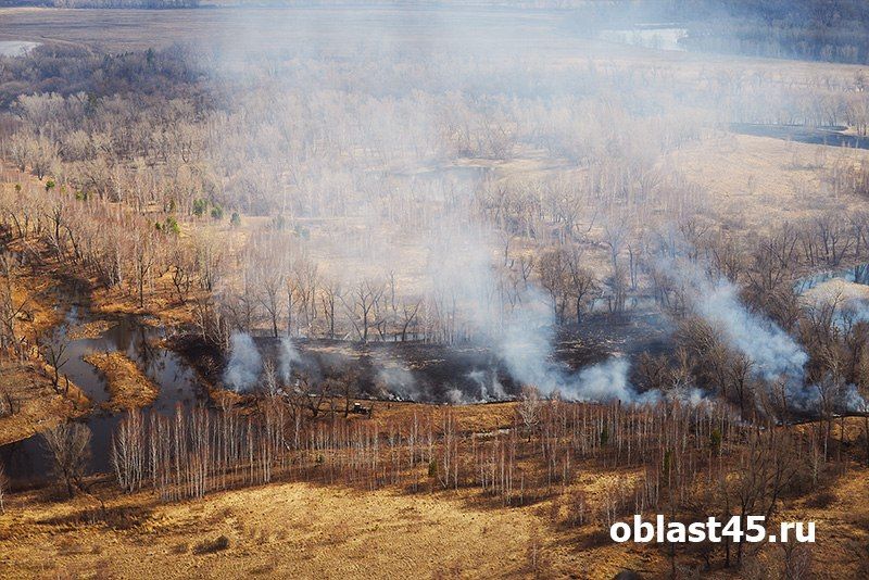 Чрезвычайная пожарная опасность ожидается в Курганской области