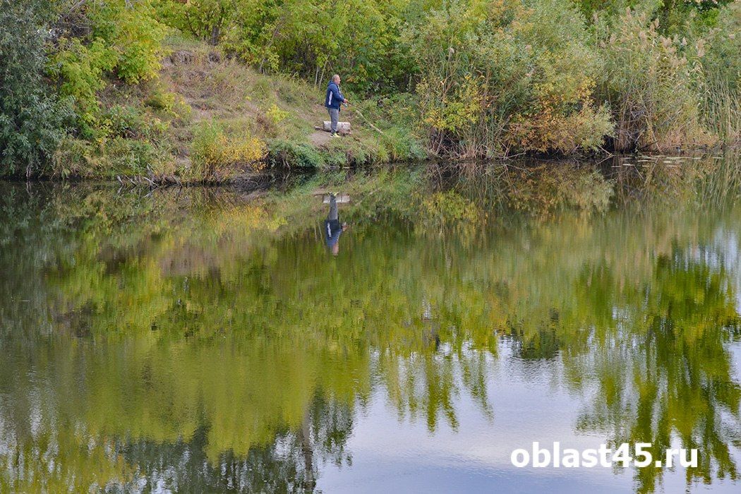 В Курганской области разрешили рыбачить на 317 озёрах