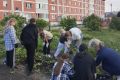 Пока аграрии убирают урожай на полях Курганской области, школьники из разных округов региона вместе с учителями активно трудятся на пришкольных участках