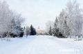 Регионы УрФО оценили качество уборки снега в Кургане