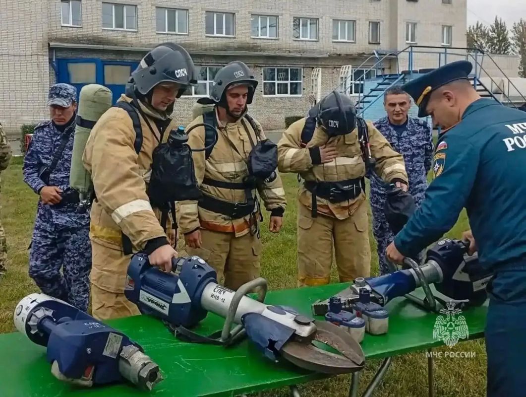 Обмен опытом и профессиональное мастерство Обмен опытом и профессиональное мастерство