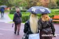 +20 градусов, кратковременный дождь: погода в Кургане на 17 сентября