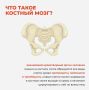 Межрегиональная акция по популяризации донорства костного мозга