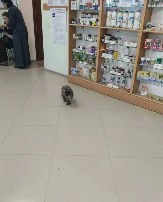 В первый день голосования в Курганской области некоторые избиратели приходили на избирательные участки вместе со своими питомцами В первый день голосования в Курганской области некоторые избиратели приходили на избирательные участки вместе со своими питомцами