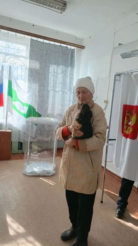 В первый день голосования в Курганской области некоторые избиратели приходили на избирательные участки вместе со своими питомцами В первый день голосования в Курганской области некоторые избиратели приходили на избирательные участки вместе со своими питомцами