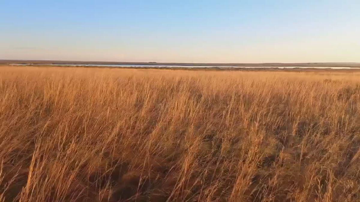 Утро в Куртамышском округе