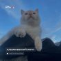 ������ ����, ���������!. ������� ����� ����� � ��������, ���� ������ ���������� �� +19 ��������