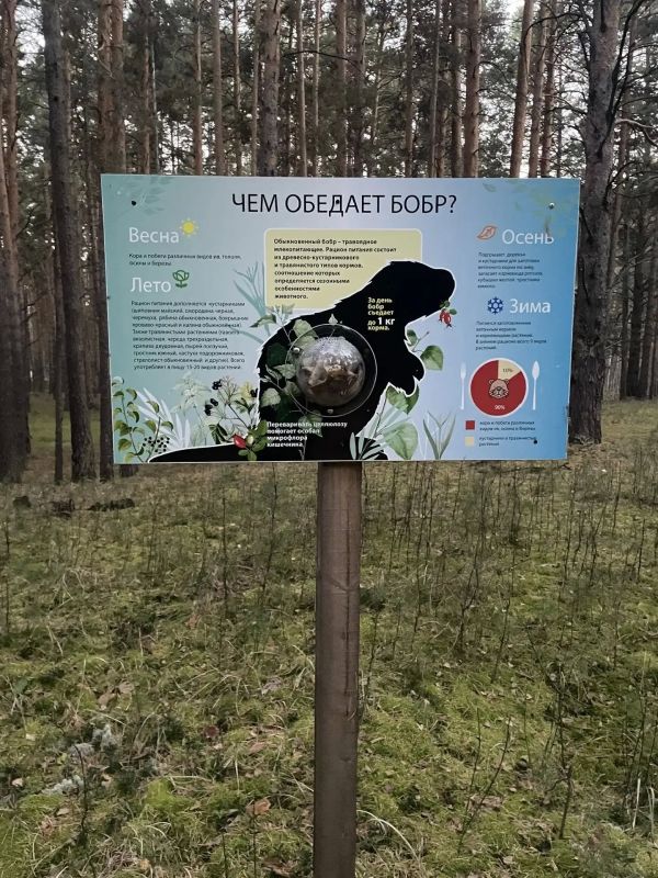 Обновление на Белозерской экотропе: новые знаки и уют для каждого гостя Обновление на Белозерской экотропе: новые знаки и уют для каждого гостя