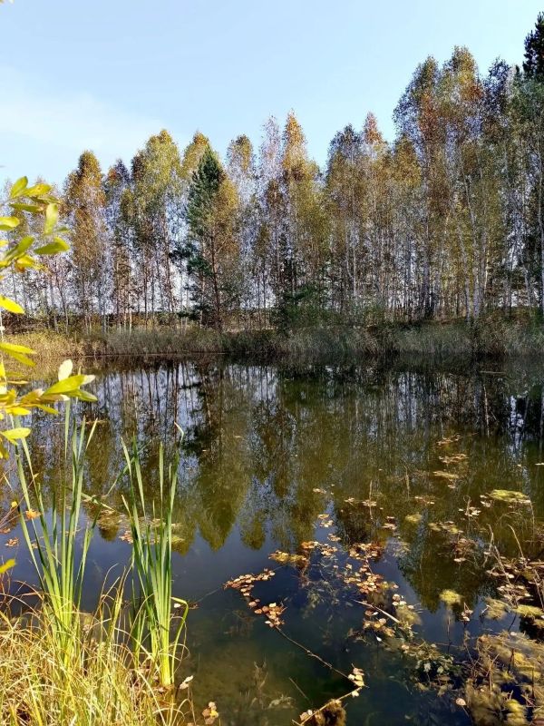 Красота природы Зауралья Красота природы Зауралья