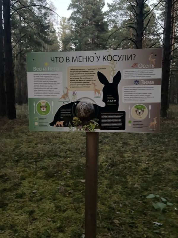 Обновление на Белозерской экотропе: новые знаки и уют для каждого гостя Обновление на Белозерской экотропе: новые знаки и уют для каждого гостя