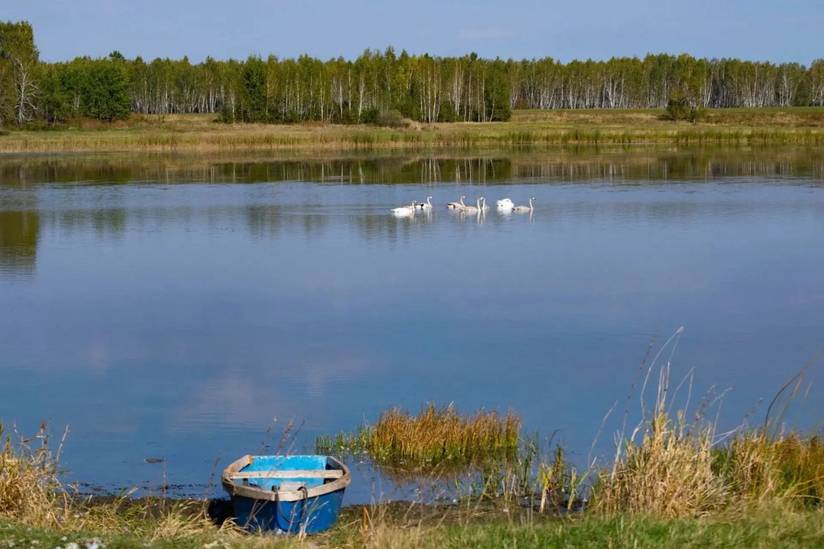 Красота природы Зауралья Красота природы Зауралья