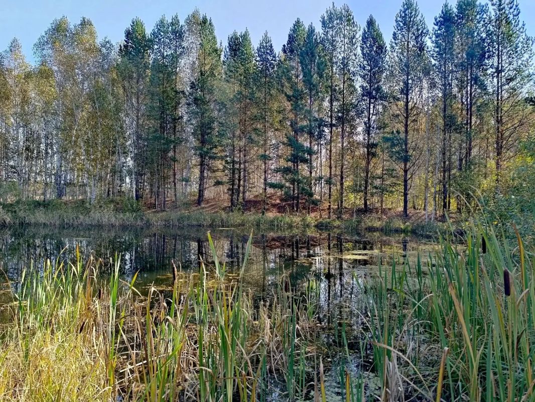 Красота природы Зауралья Красота природы Зауралья