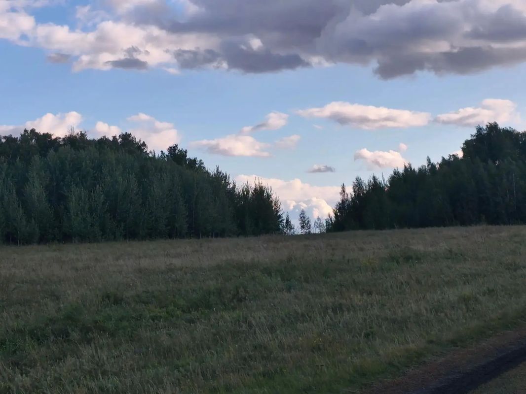 Красота природы Зауралья Красота природы Зауралья